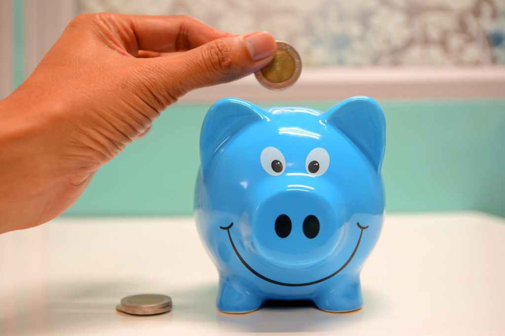 15 Tipps zum Geldsparen bei der Hundehaltung – Teil 1
