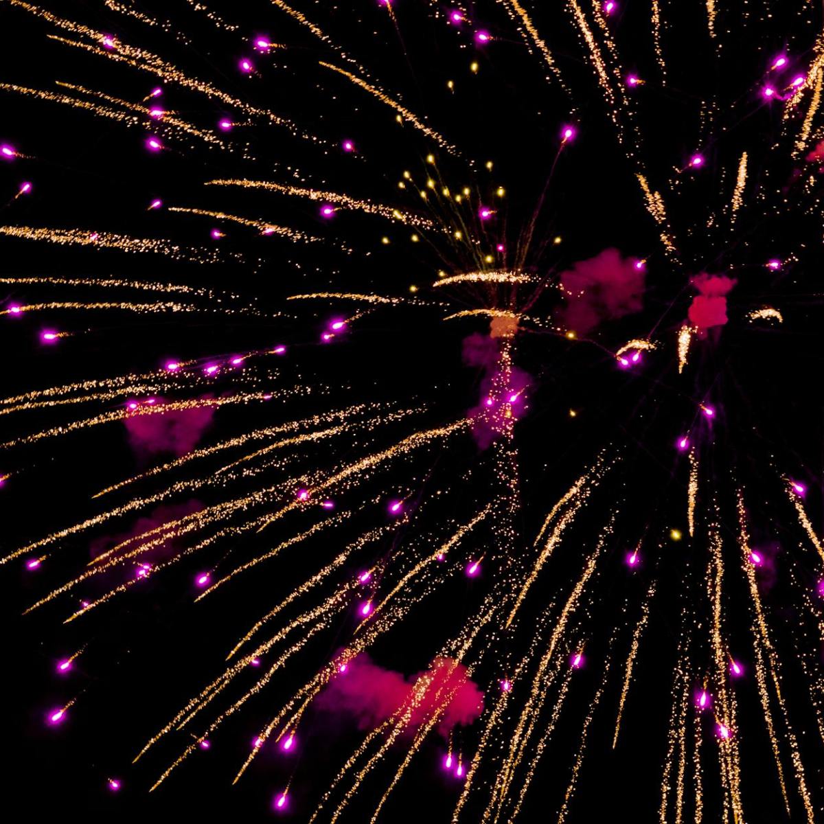 New Year’s Eve with an Anxious Dog – 10&nbsp;Tips