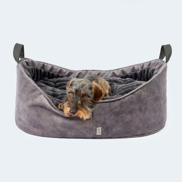 Dog Beds – So Much More Than Just a Place to&nbsp;Sleep