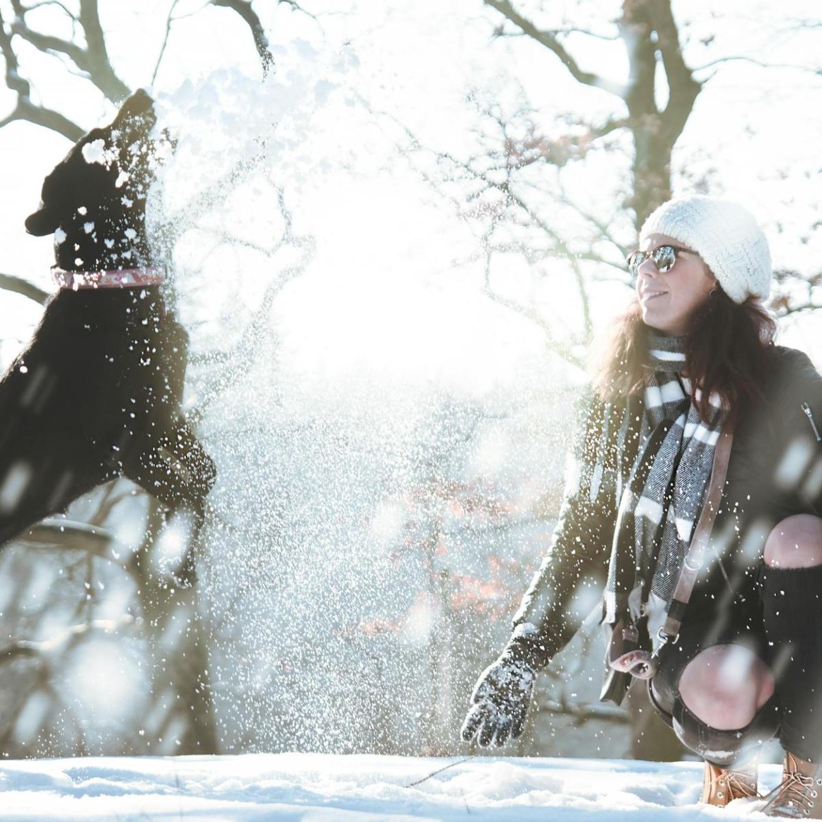 Snow Gastritis in Dogs – How to Recognize, Prevent, and Treat&nbsp;It