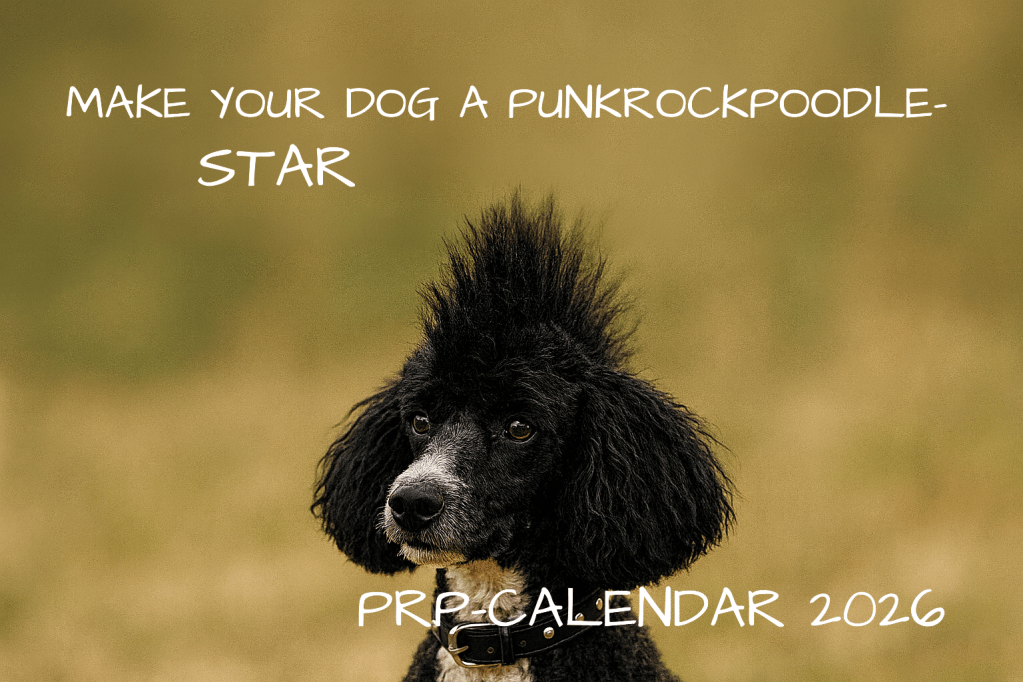 Photo Contest Make your Dog a Star 2026